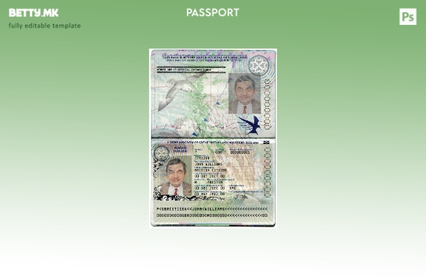 модерен стил Шаблон за пасош на Обединетото Кралство Велика Британија и Северн 1